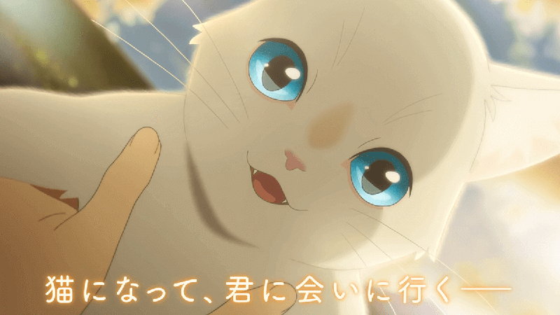 泣きたい私は猫をかぶる:想哭的我戴上了貓的面具