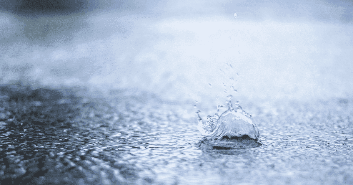 大粒の雨