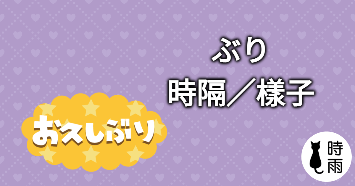 N3文法102「ぶり」時隔/樣子
