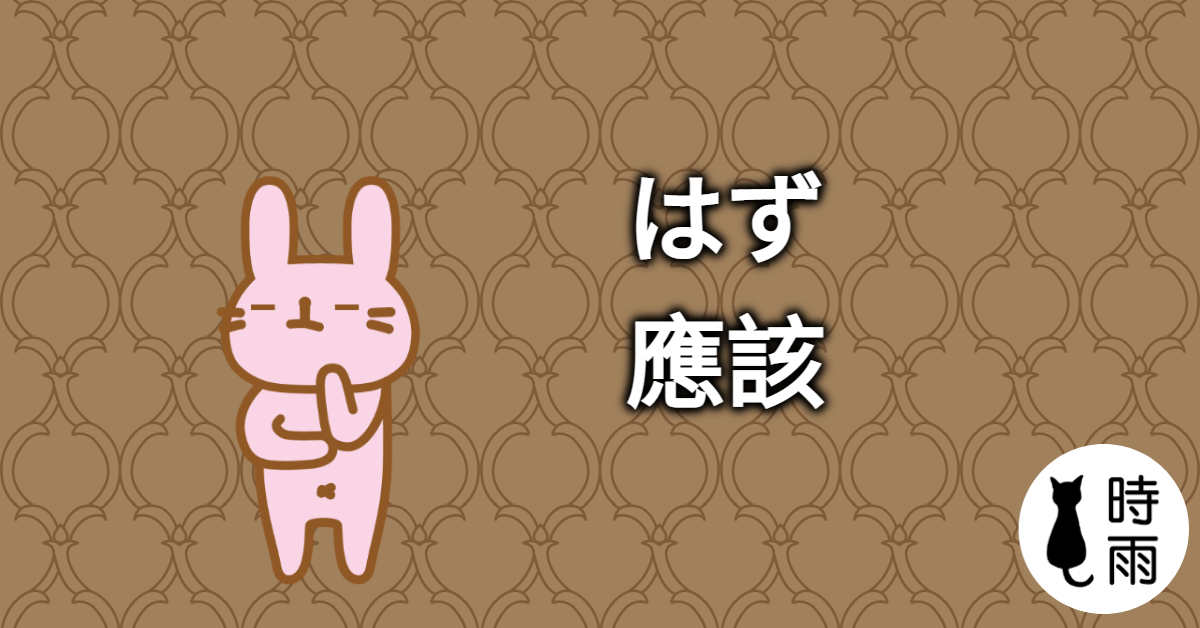 N3文法99「はず」應該（supposed to do）