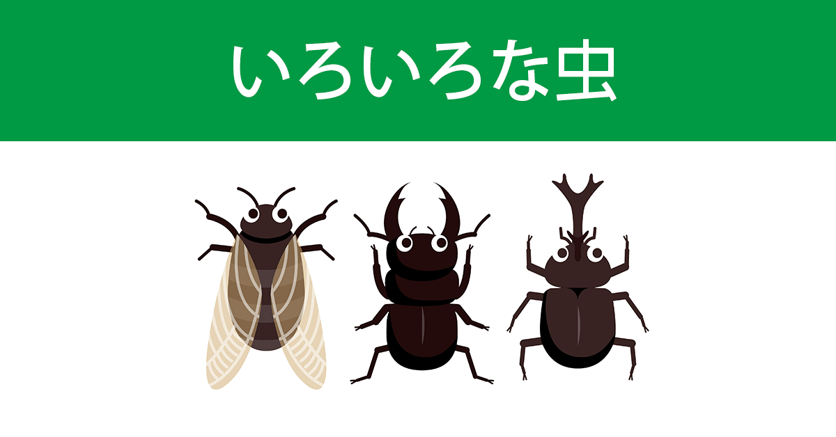 昆蟲的日文